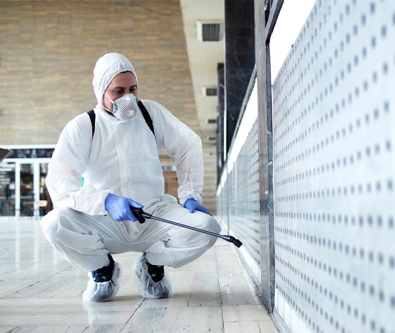 Spider pest control Melbourne sealing entry points home