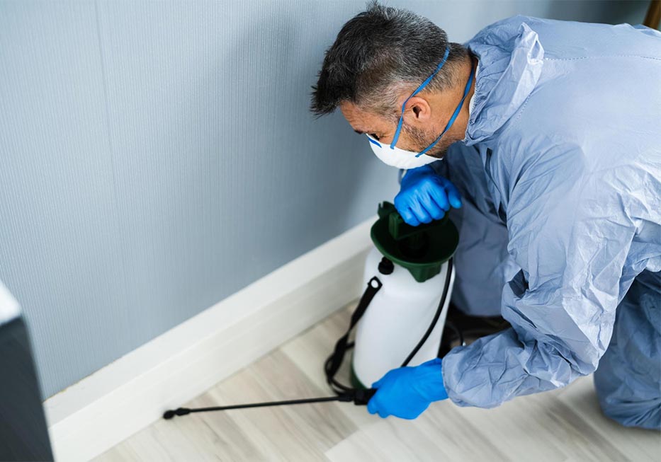 Rodent control Melbourne First Defence technician service