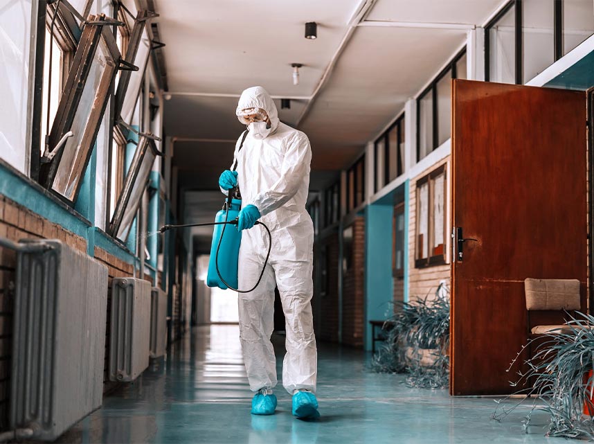 Rodent inspection Melbourne roof cavity pest check