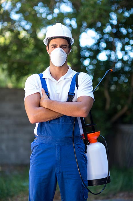 Pest control Melbourne indoor treatment living area