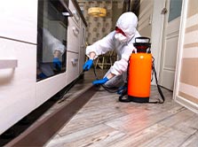 Rats and Mice Pest Control <br>Clyde