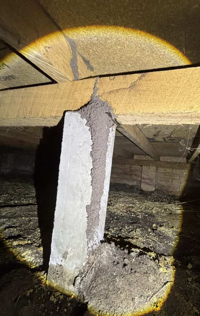 Termite inspection Melbourne timber pest inspection service