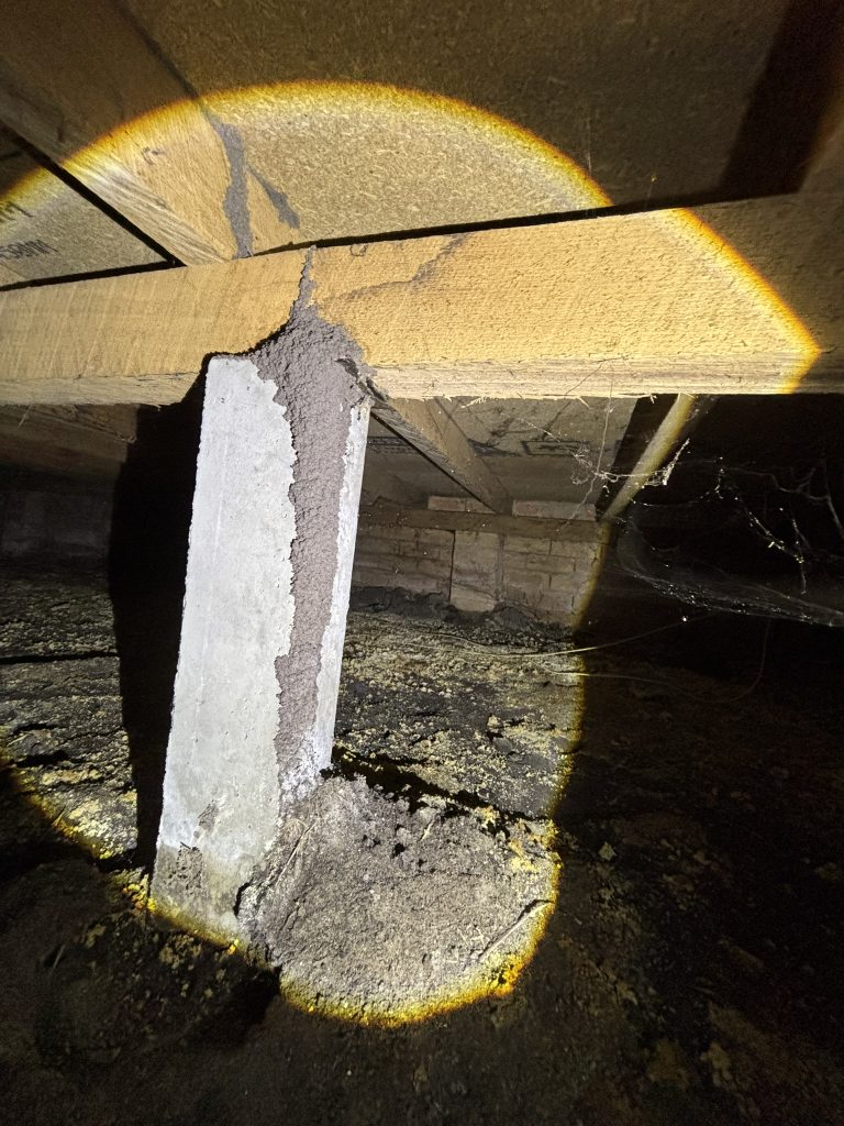 Termite mud lead on wall in Berwick home showing active termite activity