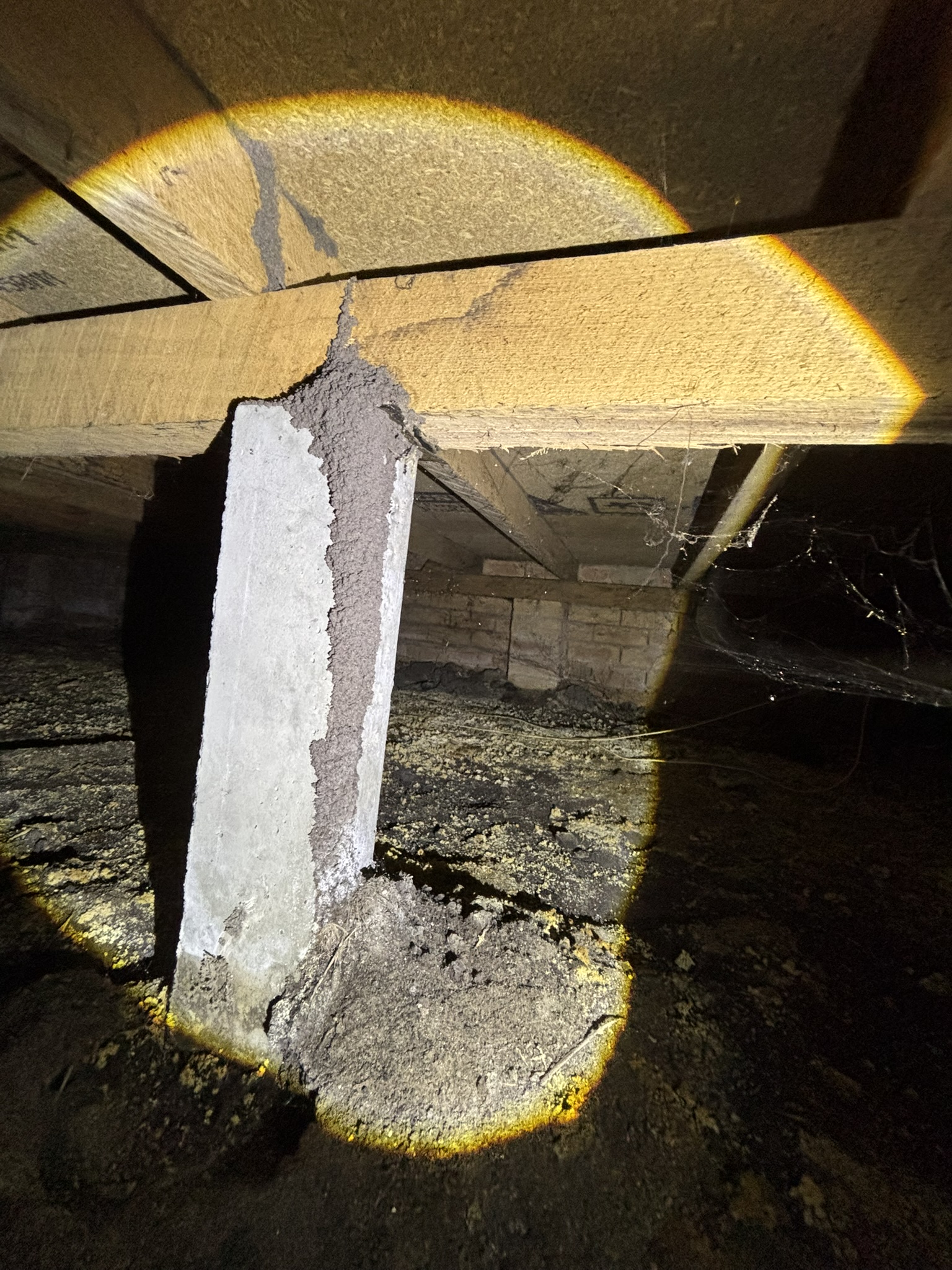Termite mud lead on wall in Berwick home showing active termite activity
