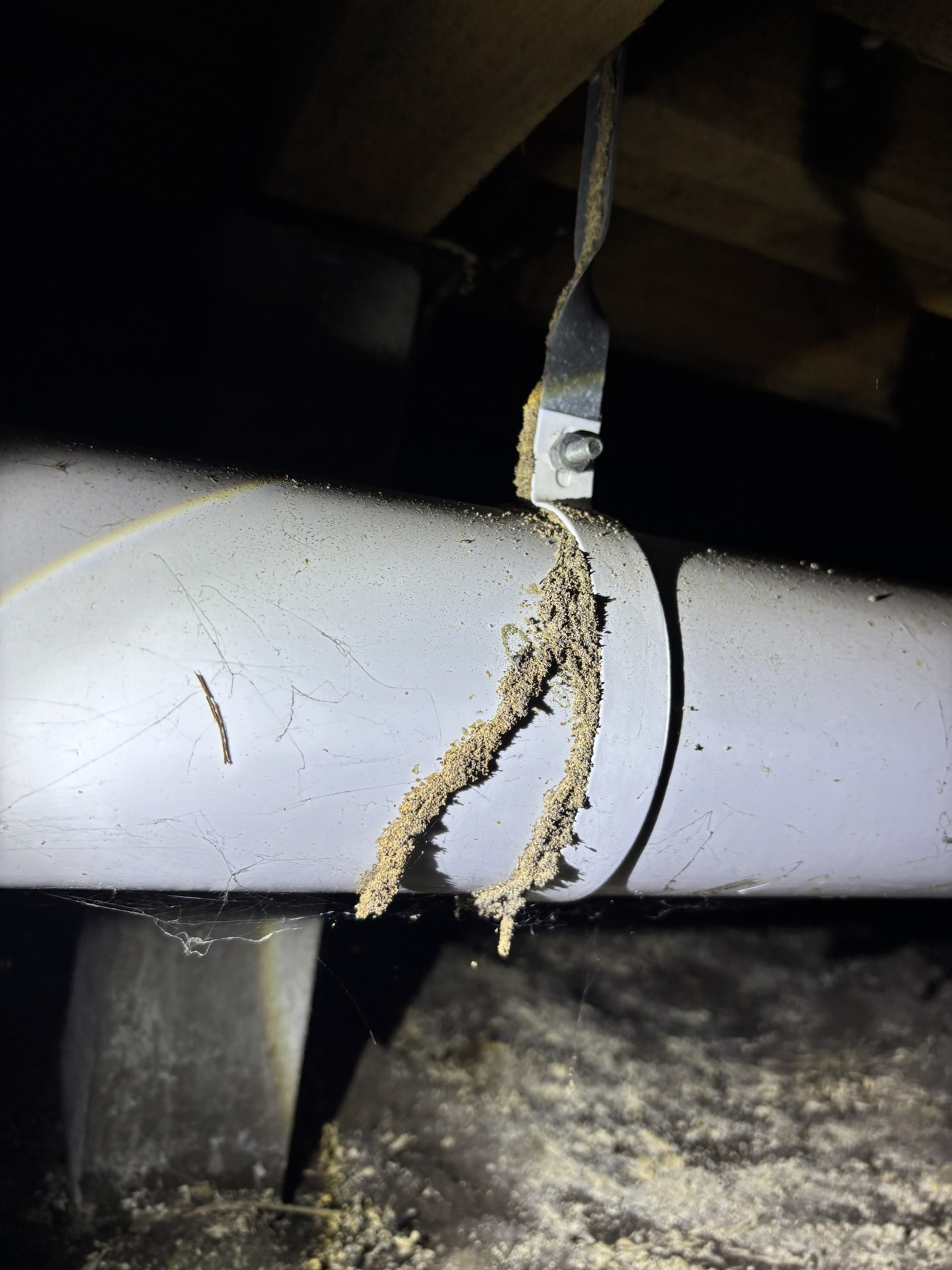 Termite Mud Lead