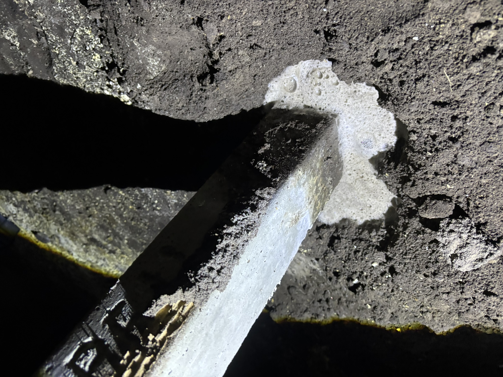 Termite treatment Melbourne First Defence technician service