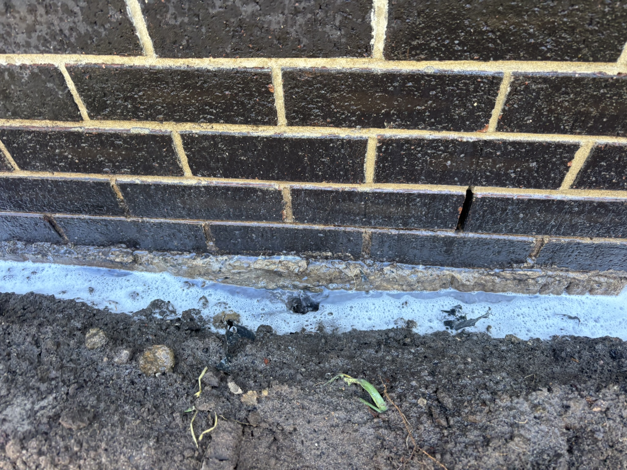 Termite treatment Melbourne technician applying treatment