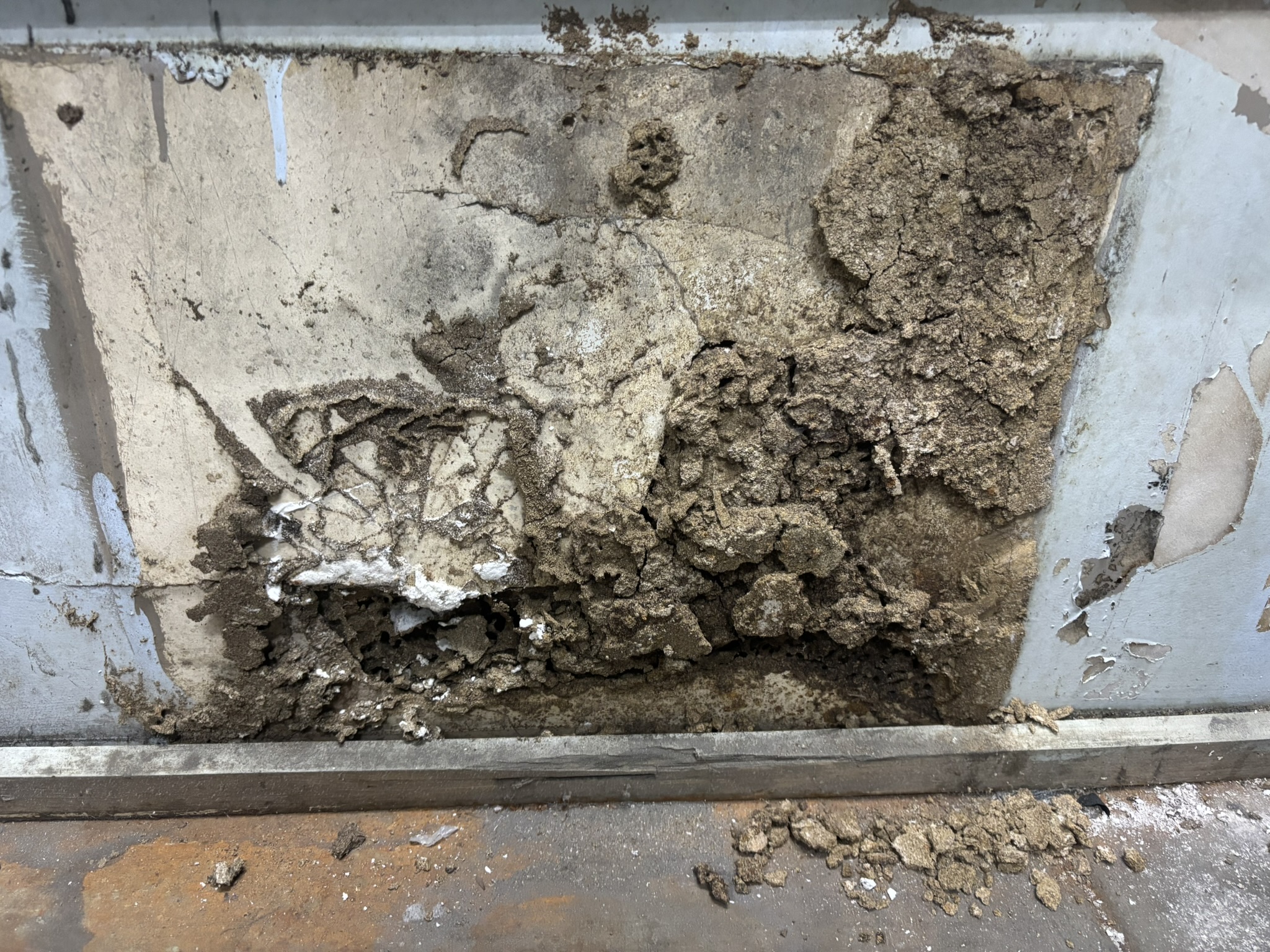 Termite inspection Melbourne roof space inspection service