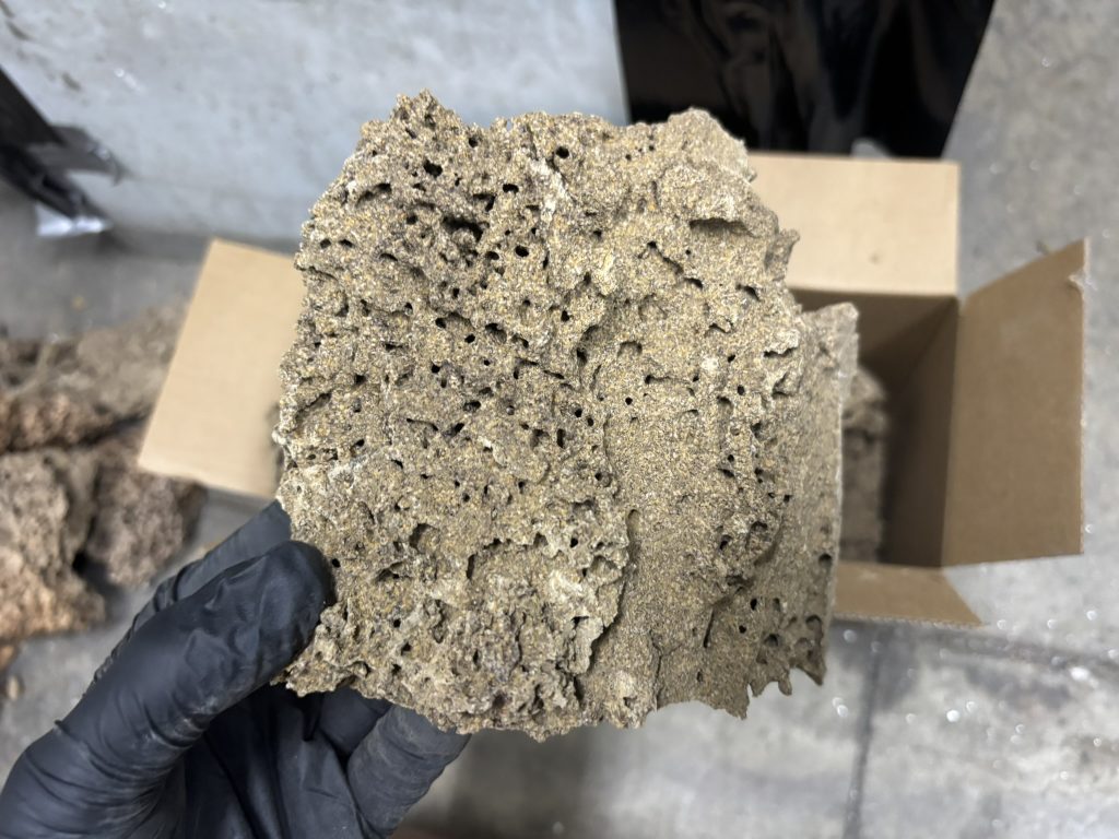 Preventative termite treatment Melbourne home protection