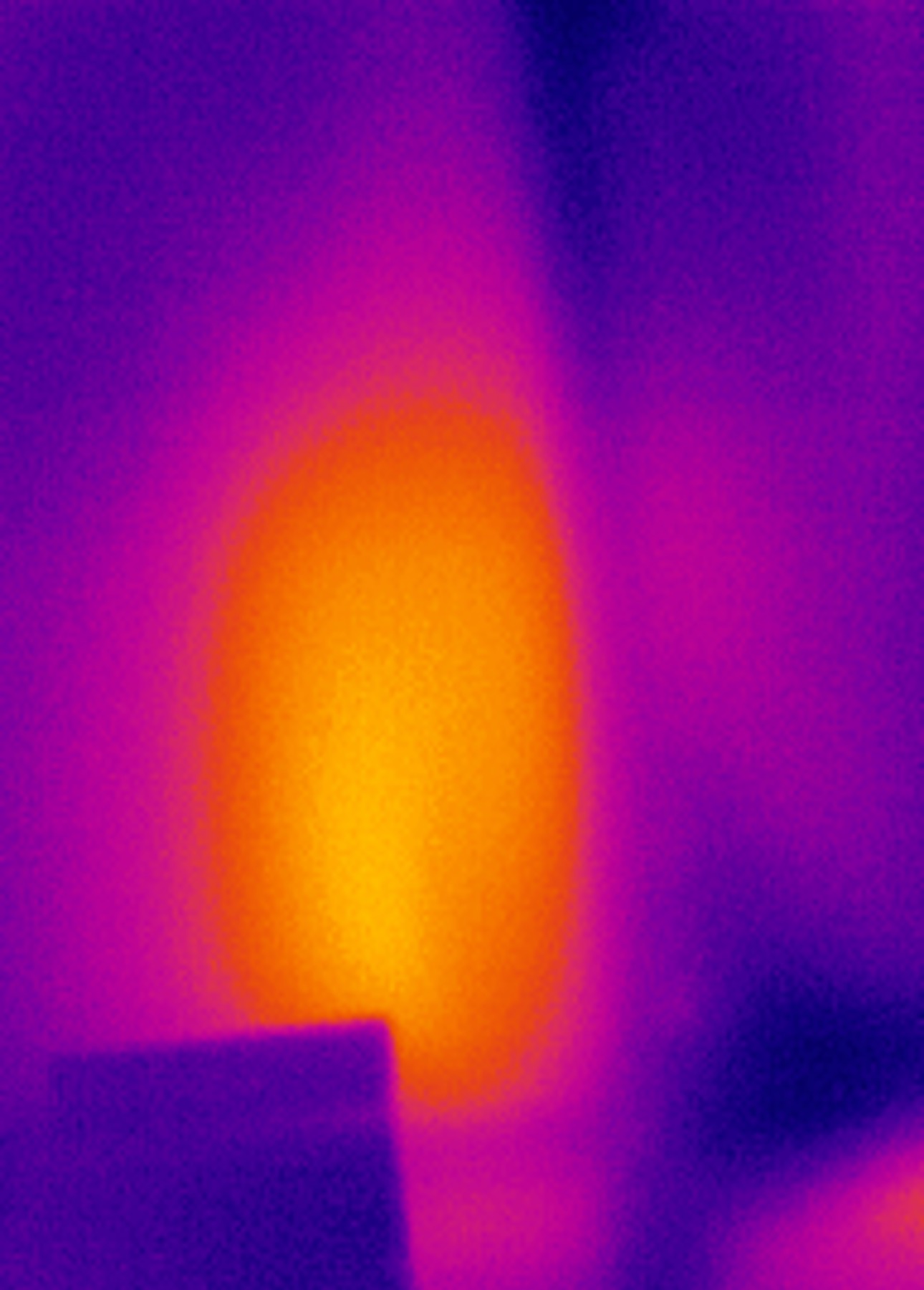 Termite Nest Melbourne