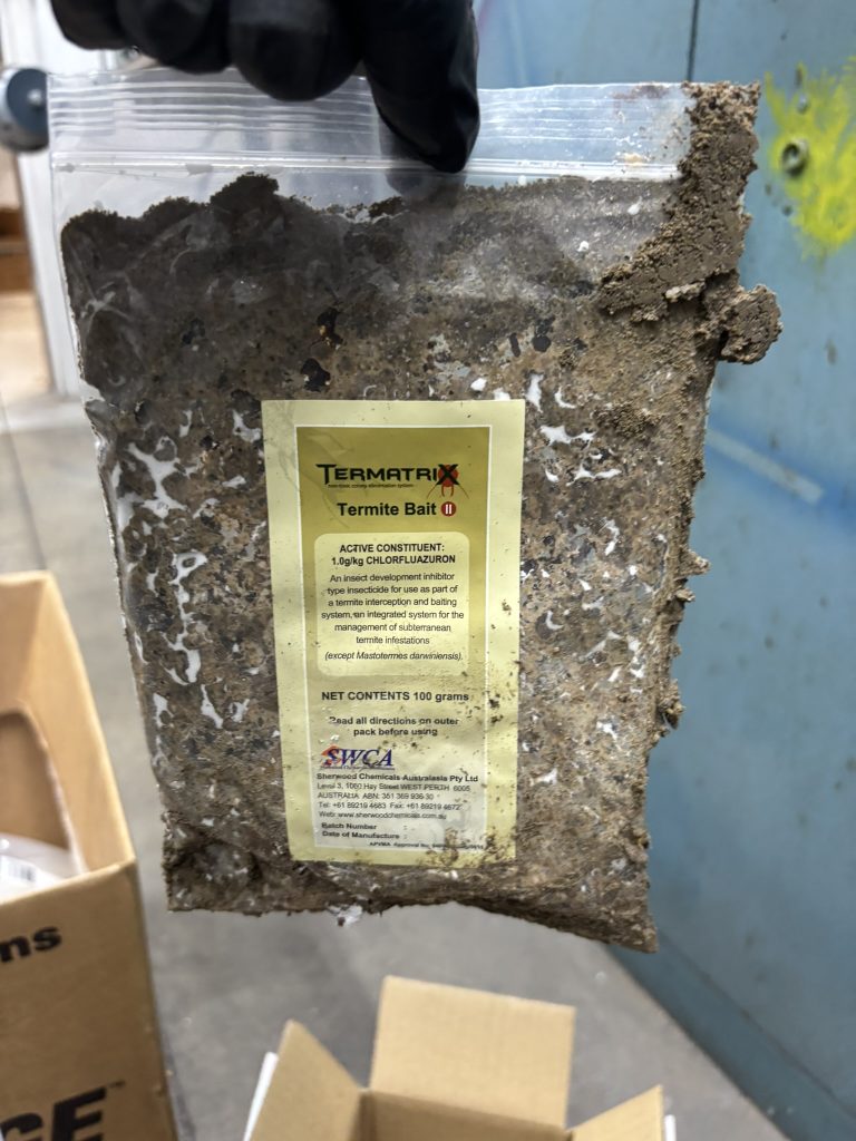 Termite baiting